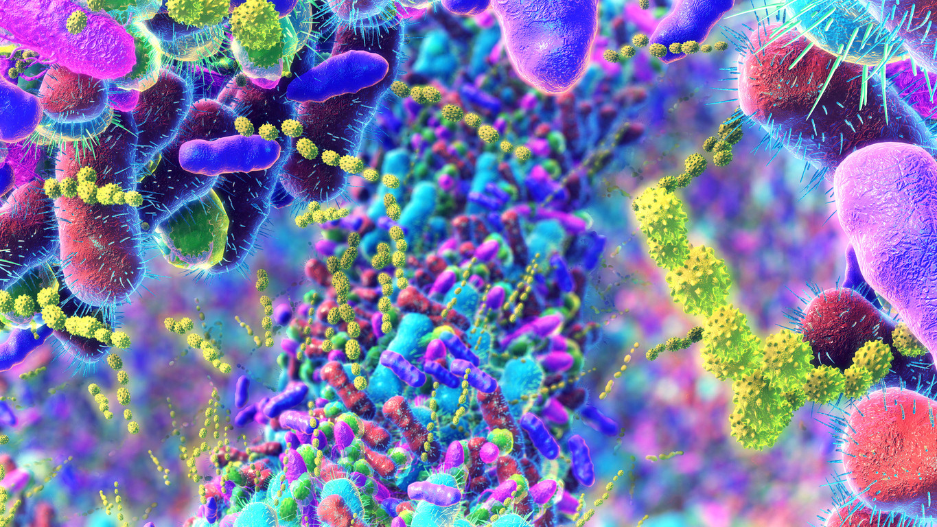 Mikrobióm – neviditeľný strážca nášho zdravia - post cover
